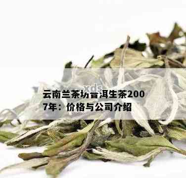 云云南特产茶叶普洱茶优质供应商报价，批发促销活动进行中