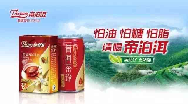 天士力帝泊洱普洱茶珍全面解析：功效、品鉴与冲泡方法一网打尽