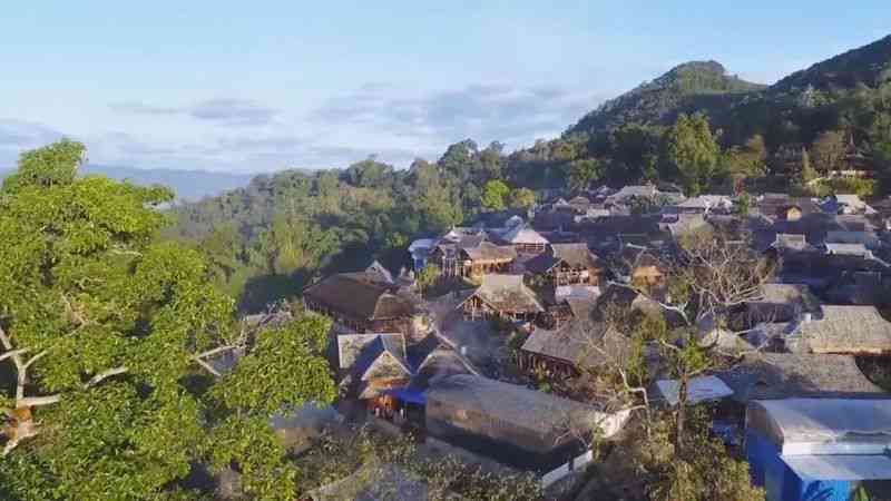 普洱茶市场热切关注景迈山古茶林申遗成功的文化影响