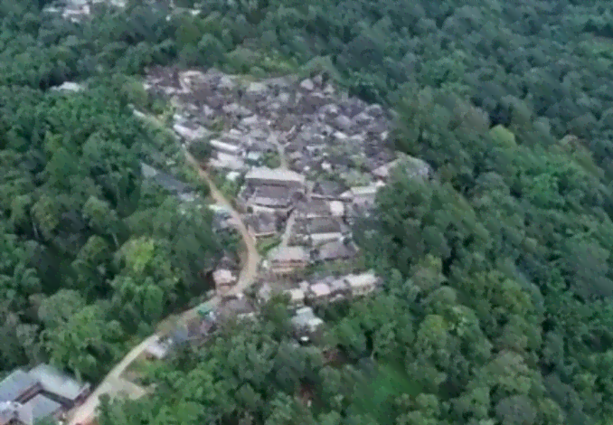 普洱茶市场热切关注景迈山古茶林申遗成功的文化影响