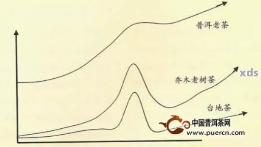 普洱茶投资与价值：生茶、收藏、价格与协调的关系分析