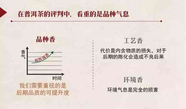 新 探究普洱茶每一泡香气变化的奥秘