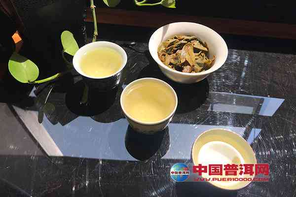 新 探究普洱茶每一泡香气变化的奥秘