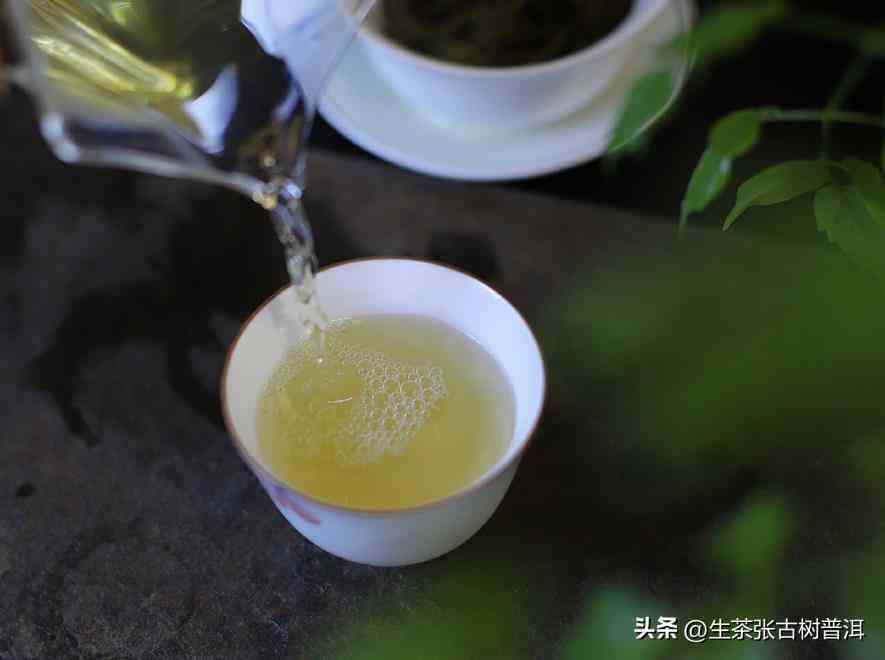 普洱茶泡出的香味每次都不同吗？这是否正常？如何解释和解决这个问题？