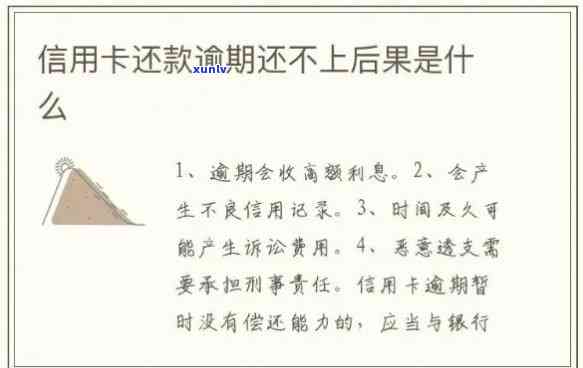 处理信用卡逾期还款的正确方式，不容忽视的5个步骤