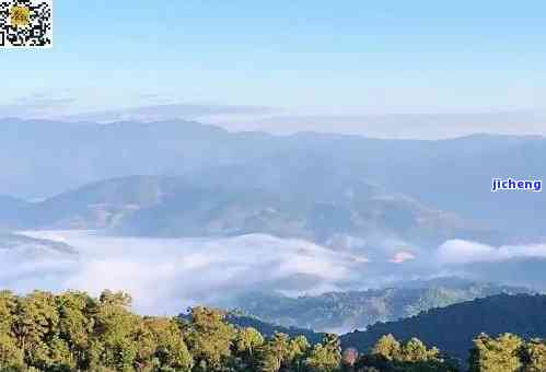 普洱茶名山一览：探寻古茶山的魅力与历