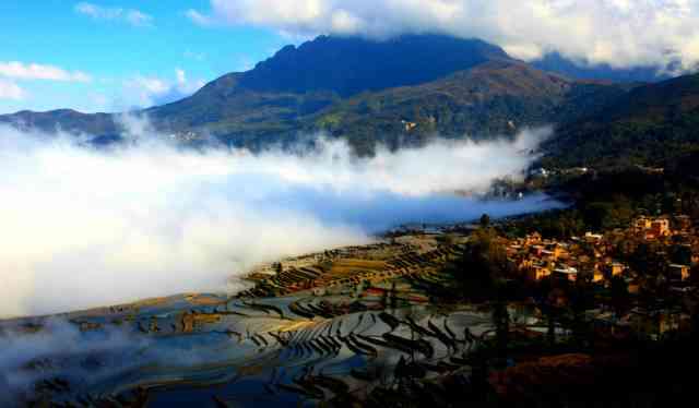 云南普洱茶六大名山：探寻古茶文化瑰宝与自然奇观