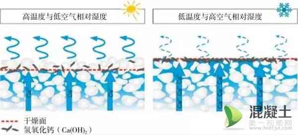 冰飘花的颜色：为何并非纯白？探讨其形成原理及影响因素