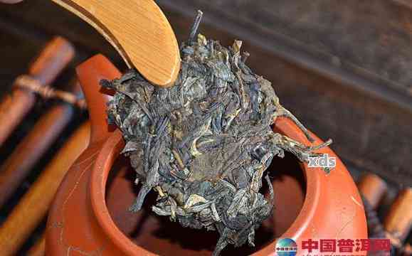 普洱茶生茶紧压茶全方位分析：价格、品质、泡法及购买指南