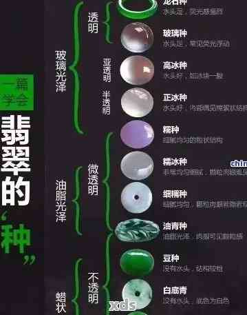 全面解析翡翠品质：从颜色、透明度、纹理到瑕疵，教你如何挑选优质翡翠
