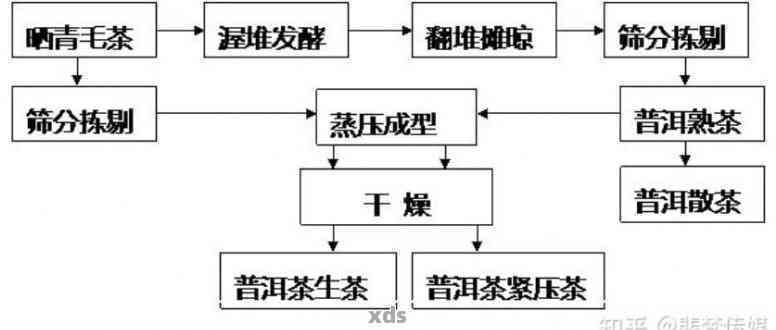 新普洱茶的起源、制作工艺及老同志背后的故事