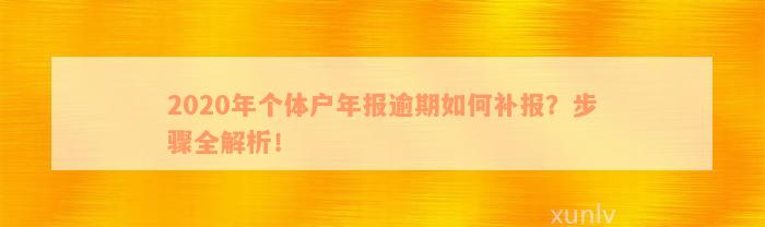 个体户年报逾期补报罚款及相关费用：2020年如何操作？