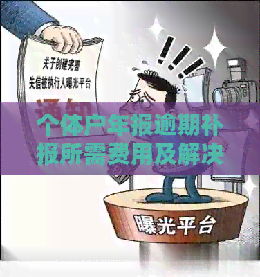 个体户年报逾期补报后果及处理方法：是否会被罚款及如何进行申报