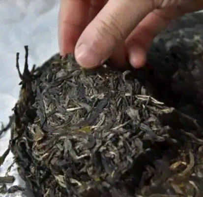 薄荷塘普洱茶是什么意思？口感如何？功效与作用是什么？