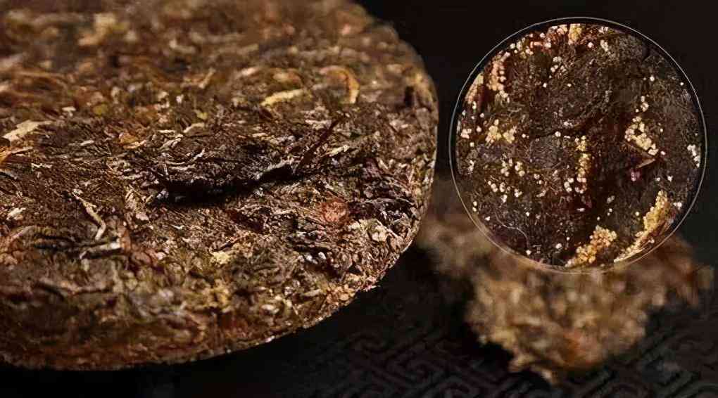 普洱茶中的金花成分与饮用安全：详细解析，能否饮用？