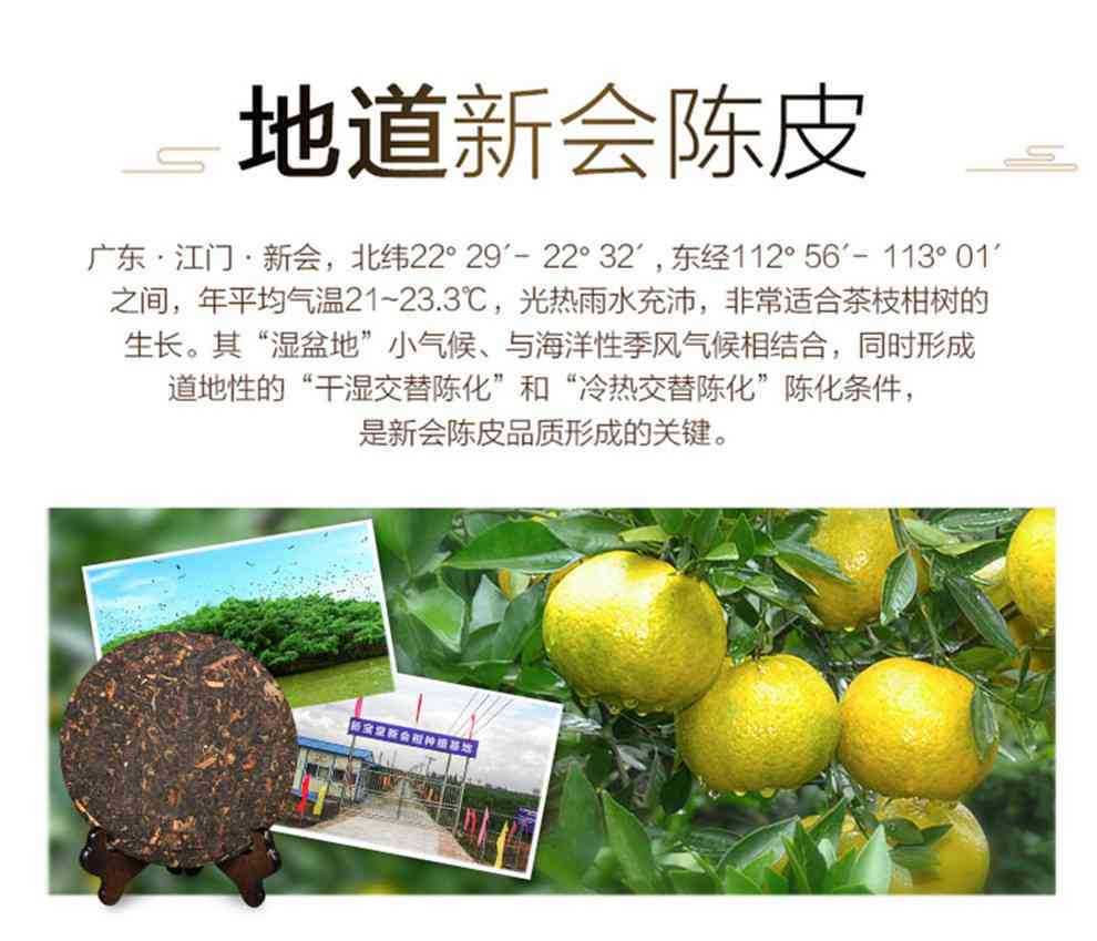 新会陈皮普洱茶京东东自营