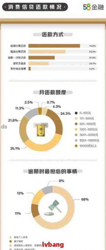 13万亿消费贷逾期：用户面临的后果与应对策略全面解析