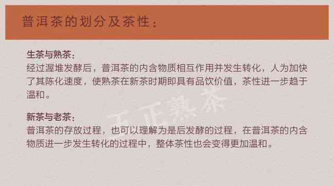 普洱茶的性质：热性还是凉性？探究其功效与饮用注意事项