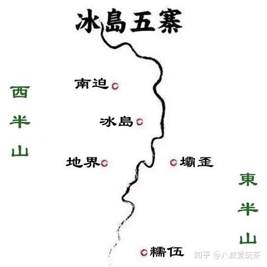 探索冰岛普洱茶5大寨子：口感差异与特色介绍，让你全面了解冰岛普洱茶！