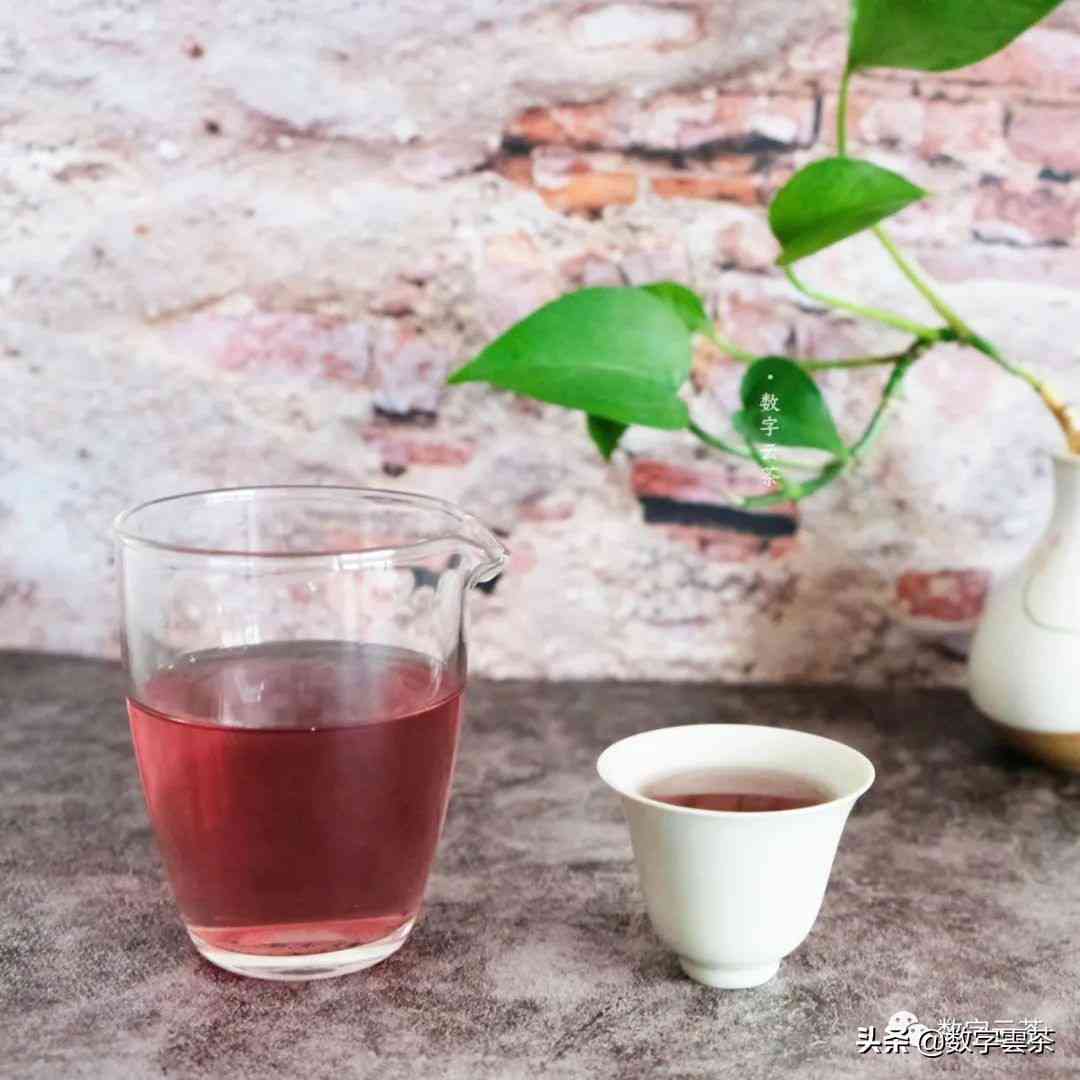 紫娟生茶：普洱茶还是绿茶？全面解析其产地、制作工艺和口感特点