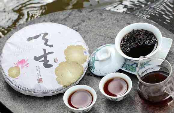 四大普洱茶厂的特产茶种全面解析：哪种茶最适合你？