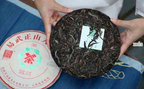 易武绿大树普洱茶3kg:价格，品质，口感及购买指南一应俱全