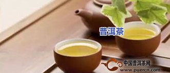 薄荷糖普洱茶价格表：其特点与由来