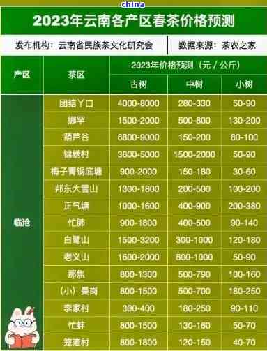 2023年全新普洱茶排名：10大茶叶全面解析，让你轻松选出普洱茶