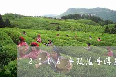 双溢普洱茶20年价位：勐海县双溢普洱茶，双益普洱茶好吗？