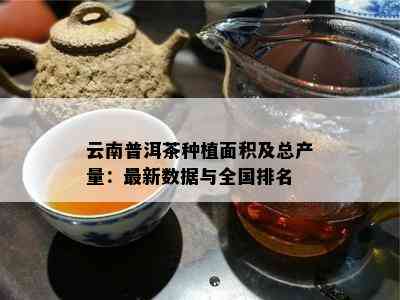 普洱茶泡好后可以冰着喝吗-普洱茶泡好后可以冰着喝吗为什么