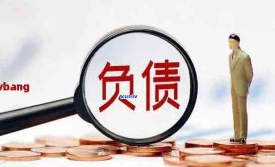 最新负债解决方案：全面理解和应对负债人的政策动态