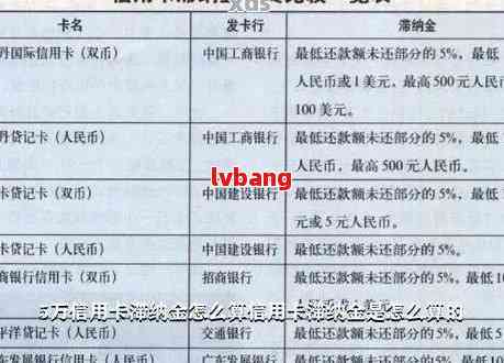 全面解析：中国银行信用卡逾期费用计算方法及影响，助您更好地管理债务