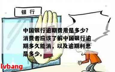 全面解析：中国银行信用卡逾期费用计算方法及影响，助您更好地管理债务