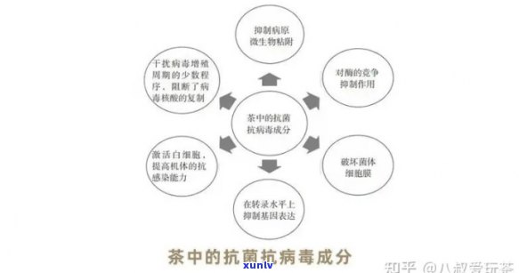 普洱茶的抗病效果及其科学依据：一次全面的解析