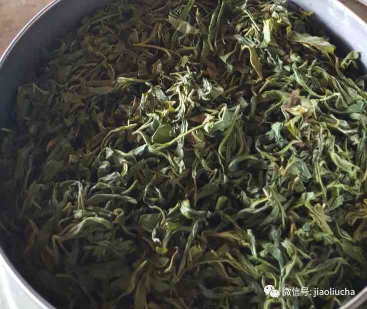 从茶园到茶杯：纯手工普洱茶的完整制作过程详解