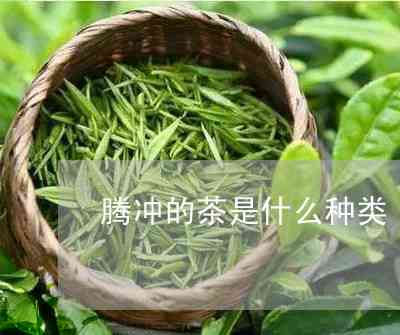 腾冲的茶是什么种类-腾冲的茶是什么种类的