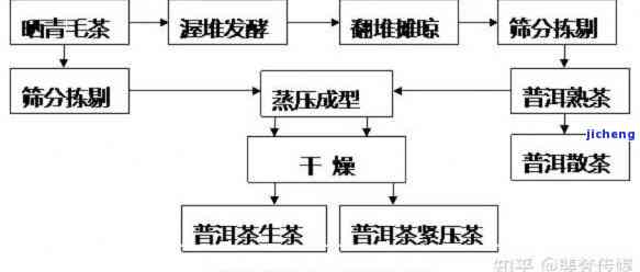 揭秘普洱茶制作过程中的老茶配方体系