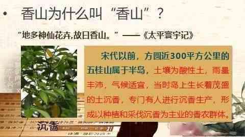 探寻云南健民茶厂的历沿革与发展：前世今生的综合解析