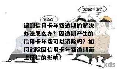 信用卡年费逾期四个月的后果及影响：如何解决和避免信用损失？