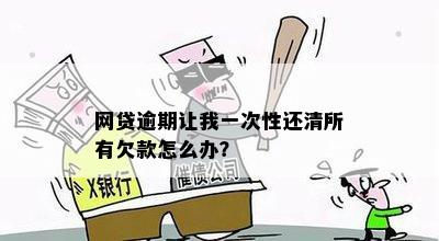 12期网贷逾期后，是否必须一次性还清全部款项？如何处理？