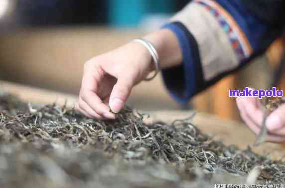 揭秘普洱茶口感之谜：为何有些茶叶难以入口？