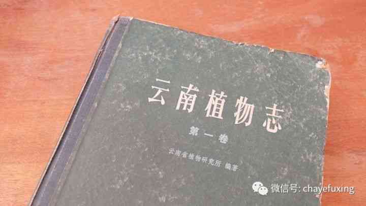 普洱茶的五个老祖宗名字及其背后的故事：探索普洱茶的历与传统