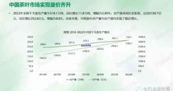 2013年至2023年大益普洱茶价格走势与市场分析，了解茶叶价值与品质的方法