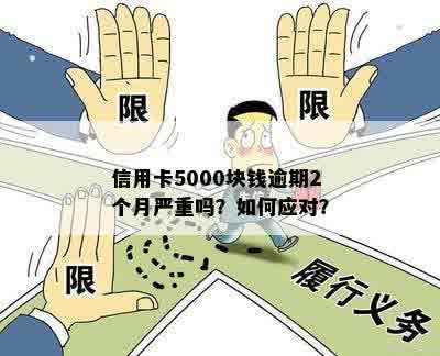 逾期两个月的信用卡5000元，我应该如何处理？