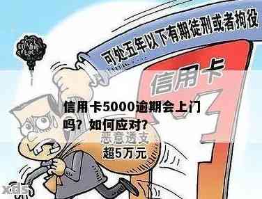 逾期两个月的信用卡5000元，我应该如何处理？