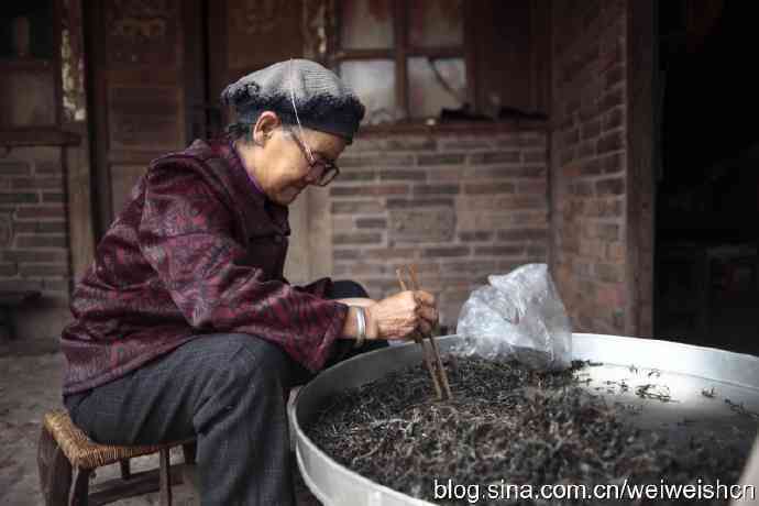 探究普洱茶制作过程中杀青不足的表现及相关特点