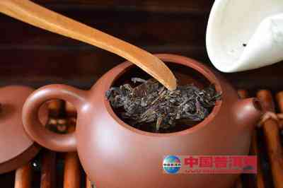 普洱茶沱碗泡法：如何冲泡出好喝的普洱茶沱？