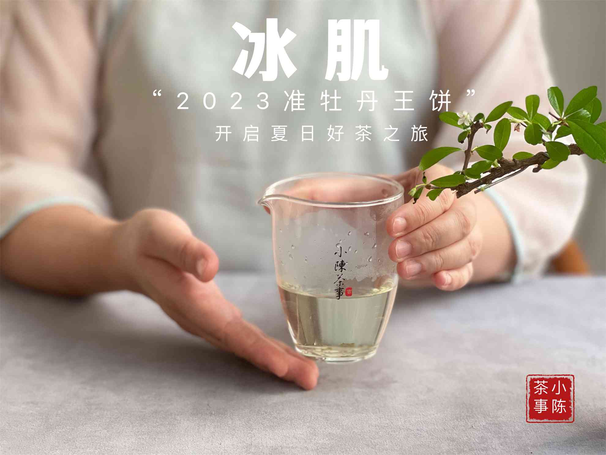 普洱茶紧压茶撬茶好吗怎么喝