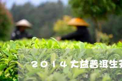 2014年勐海精选普洱生茶饼，品质上乘，批发价格优，大益推荐