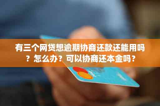 小额网贷逾期2年怎么协商还本金：解决办法与策略